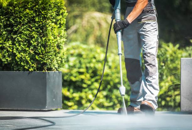 Best Solar Panel Cleaning  in Addison, TX