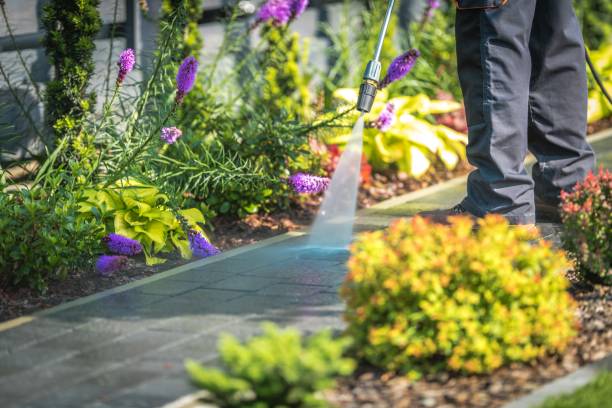 Best Winterizing Services  in Addison, TX